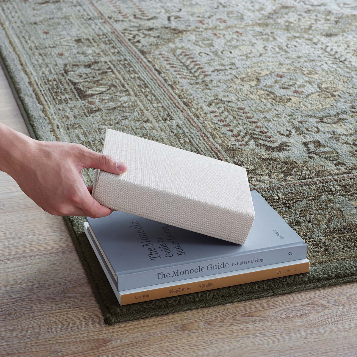 Enye Distressed Vintage Floral Lattice Area Rug