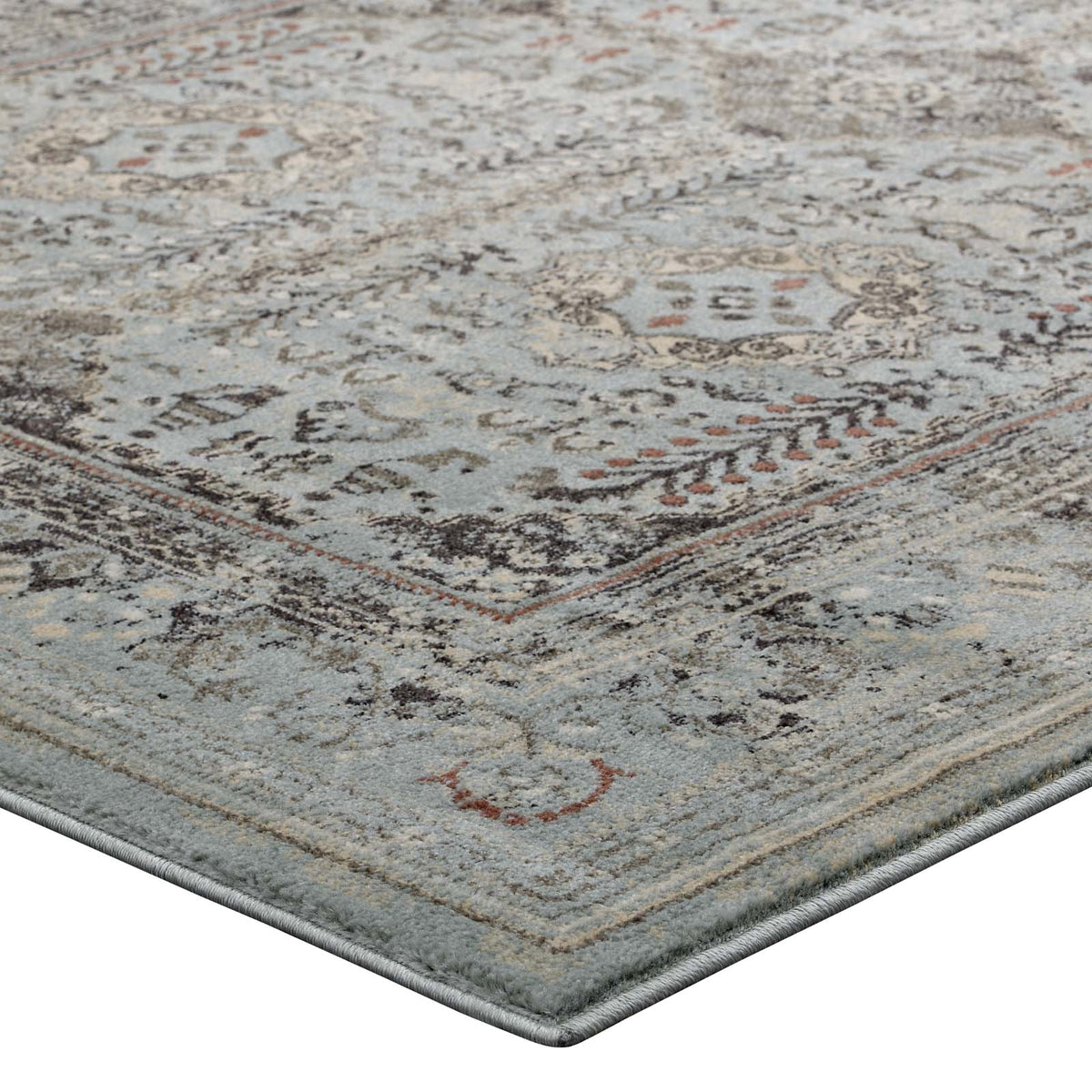 Enye Distressed Vintage Floral Lattice Area Rug