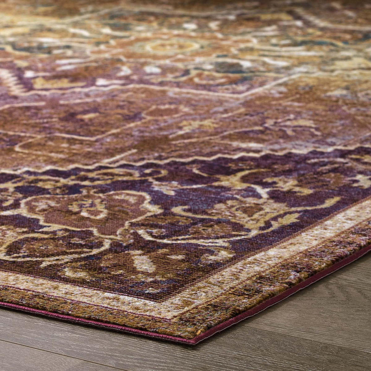 Success Kaede Transitional Distressed Vintage Floral Vintage Medallion Area Rug