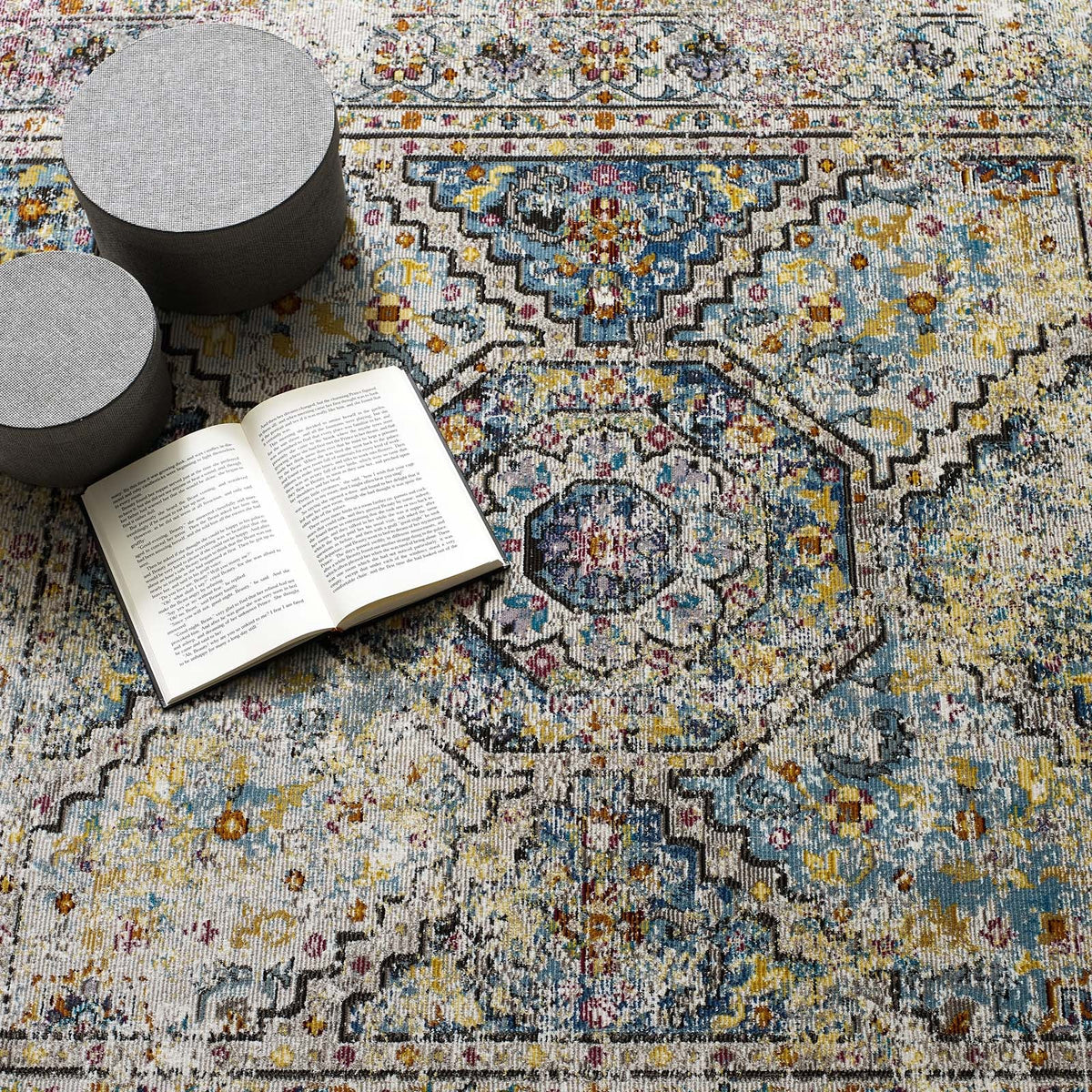 Success Jacinda Distressed Vintage Floral Vintage Medallion Area Rug
