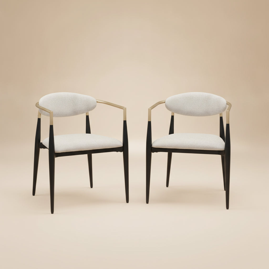 Alexis Fabric Upholstered Dining Arm Chair  (Set of 2)