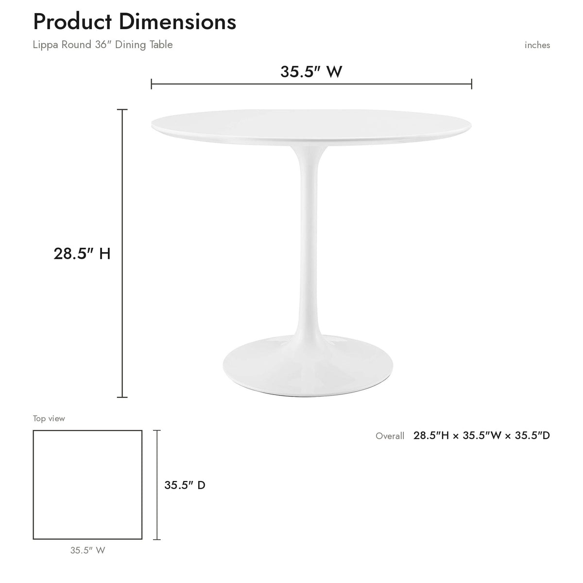 Product Dimensions