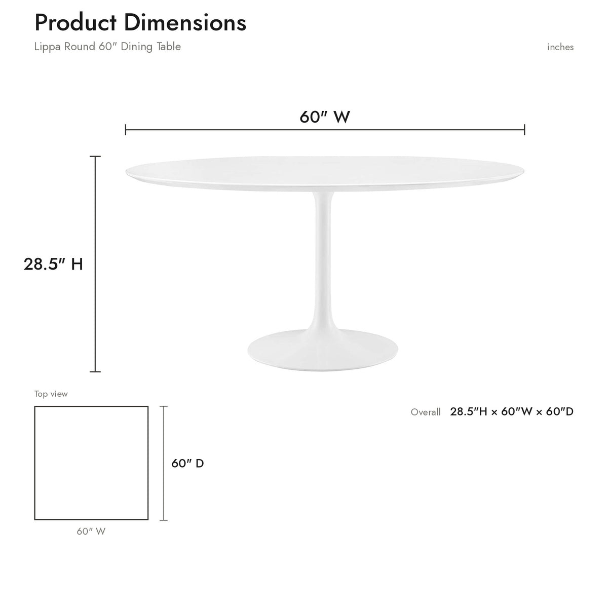 Product Dimensions
