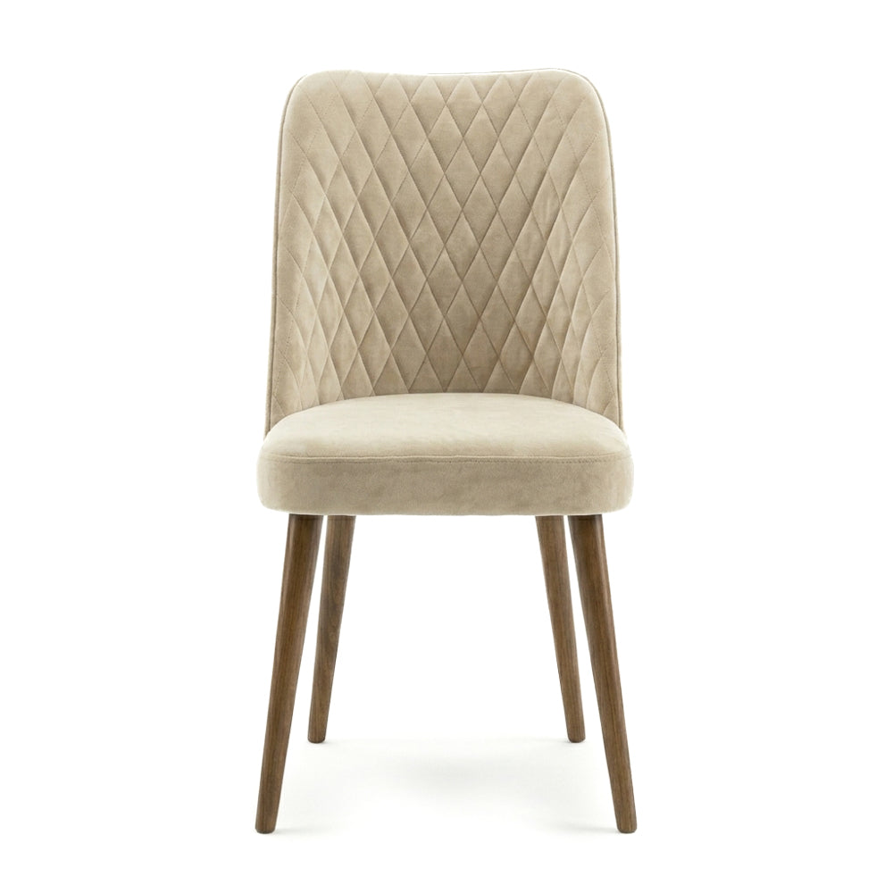 Evette Mid Century Modern Beige Dining Chair - Set of 2